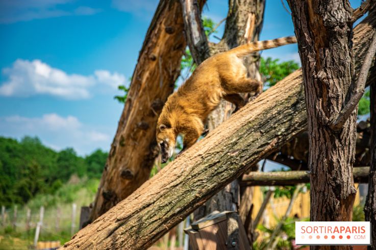 Parrot World, le parc animalier immersif d'Île-de-France