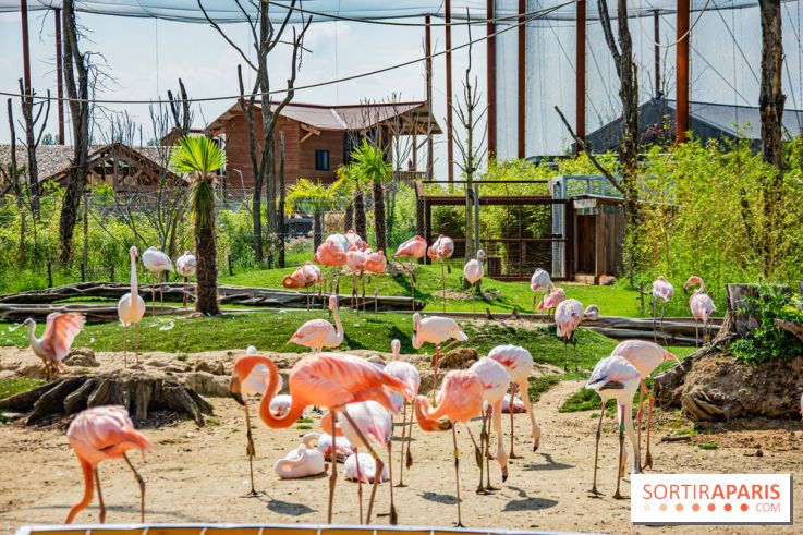 Parrot World, le parc animalier immersif d'Île-de-France