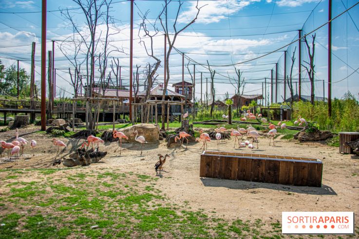 Parrot World, le parc animalier immersif d'Île-de-France