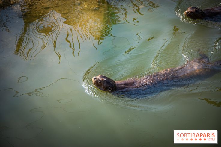 Parrot World, le parc animalier immersif d'Île-de-France