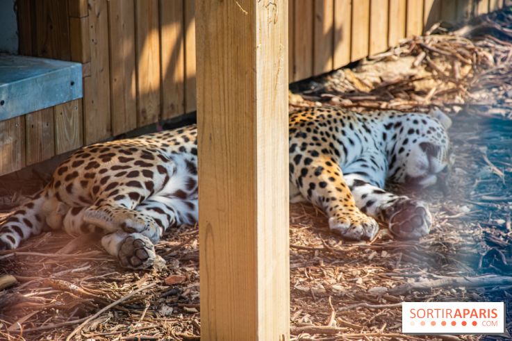 Parrot World, le parc animalier immersif d'Île-de-France