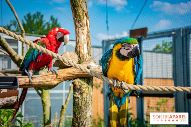 Parrot World, le parc animalier immersif d'Île-de-France