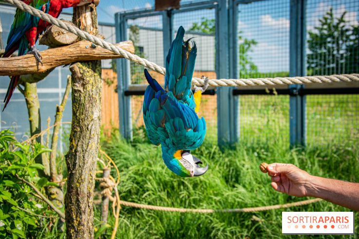 Parrot World, le parc animalier immersif d'Île-de-France