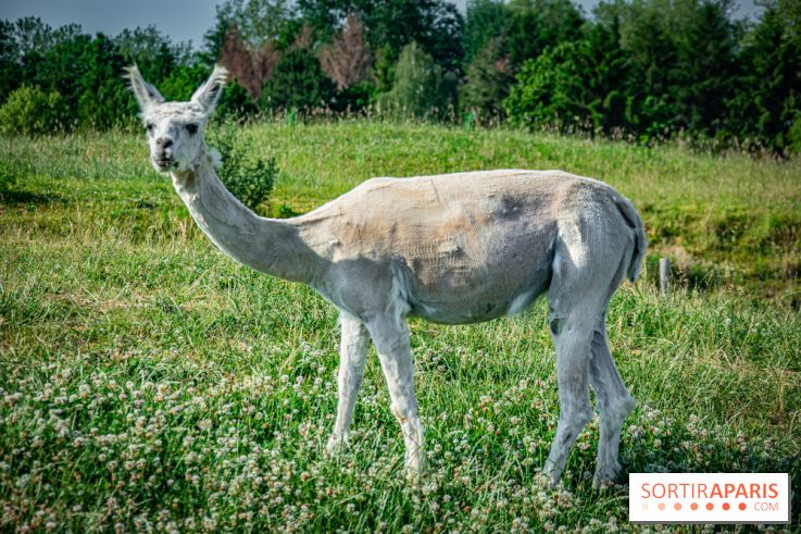 Parrot World, le parc animalier immersif d'Île-de-France