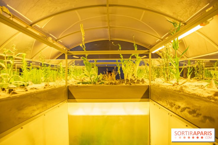 Surface Horizon, l'exposition à Lafayette Anticipations : nos photos