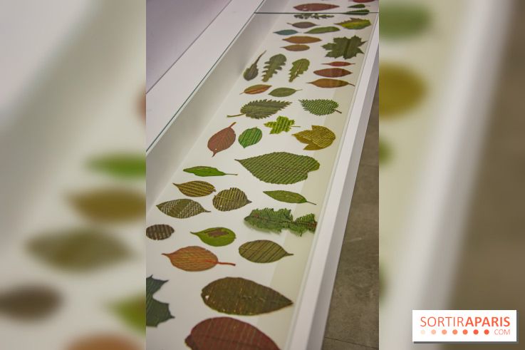 Drawing Power - Children of Compost, l'exposition au Drawing Lab