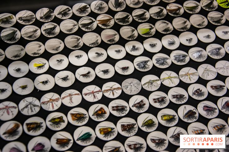 Drawing Power - Children of Compost, l'exposition au Drawing Lab