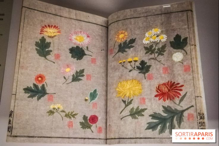 Jardins d'Asie, l'exposition dépaysante du Musée Guimet - nos photos