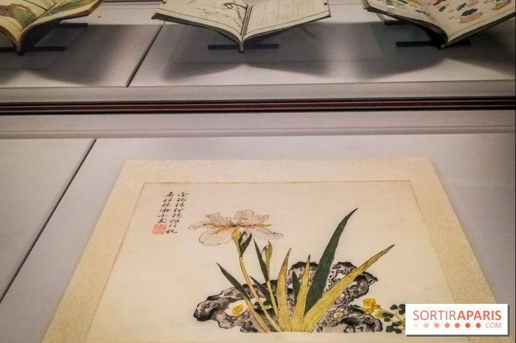 Jardins d'Asie, l'exposition dépaysante du Musée Guimet - nos photos