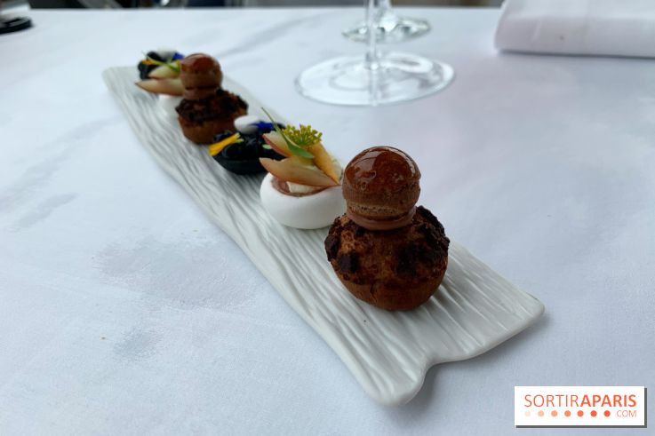 Oiseau Blanc Peninsula