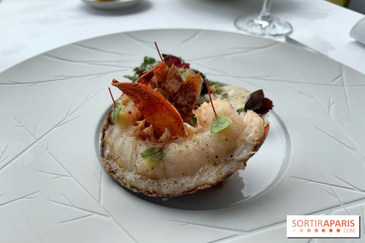 Oiseau Blanc Peninsula