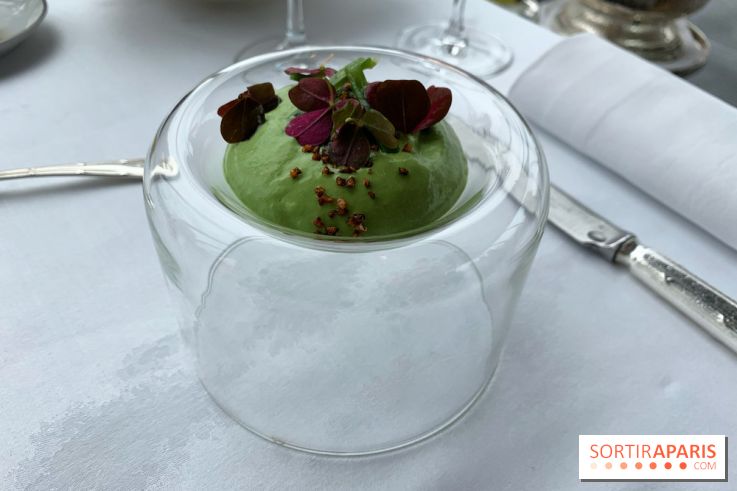 Oiseau Blanc Peninsula