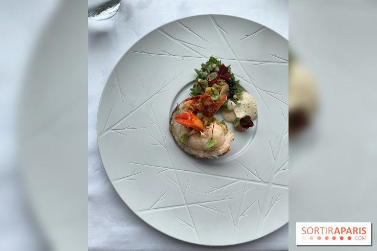 Oiseau Blanc Peninsula