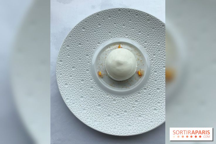 Oiseau Blanc Peninsula