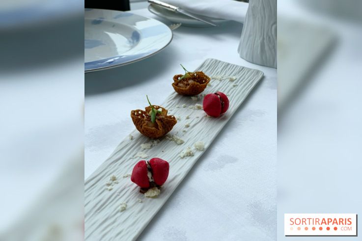 Oiseau Blanc Peninsula