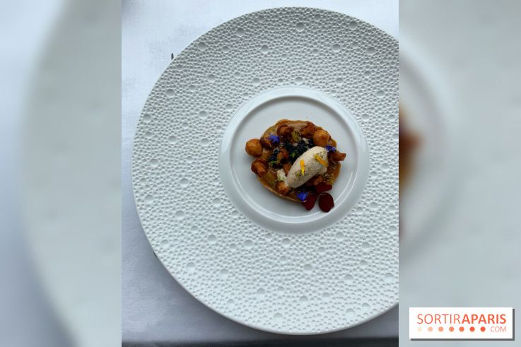 Oiseau Blanc Peninsula