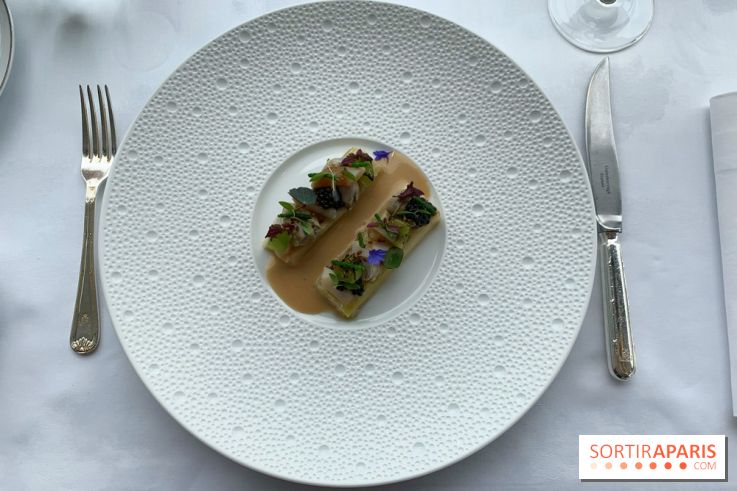 Oiseau Blanc Peninsula