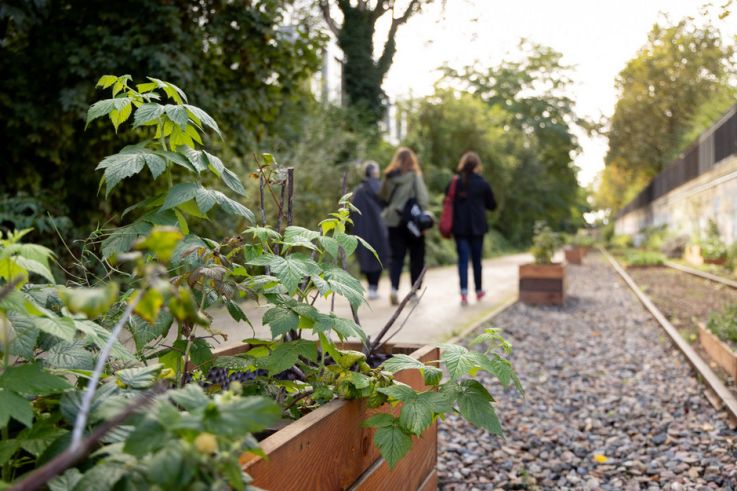 Jardin des Traverses : un espace de détente et d'agriculture urbaine sur la Petite Ceinture
