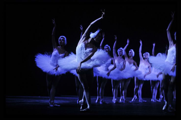 Le Lac des Cygnes de l'International Festival Ballet au Casino de Paris en février 2025