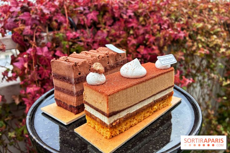 Bûches de Noël végétales 2024 de Land&Monkeys : trois délices vegan à partager