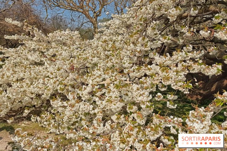 La Fête des sens s'invite au Jardin des Plantes