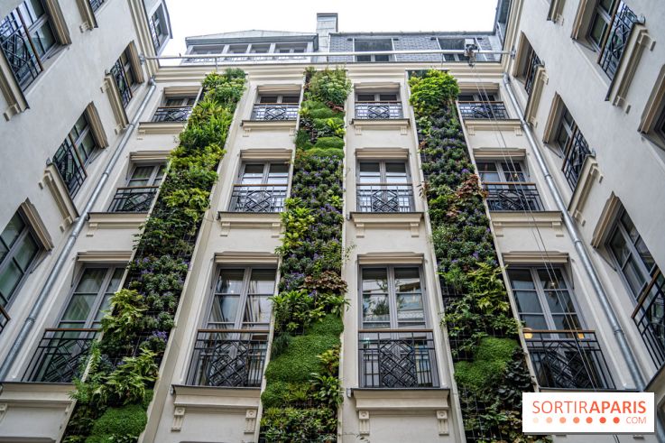 Kimpton St Honoré Paris, Restaurant Montecito