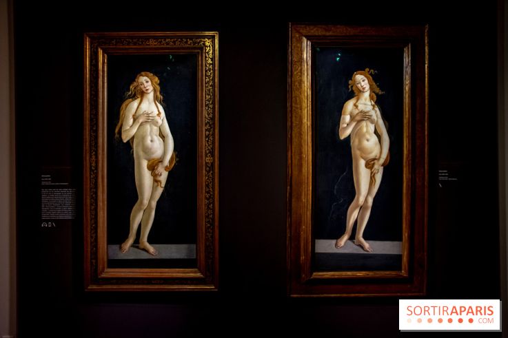Botticelli, Artiste & Designer, l'exposition au Musée Jacquemart-André - nos photos