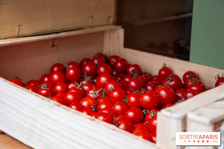 Sapid, la table à manger Naturaliste d'Alan Ducasse : nos photos