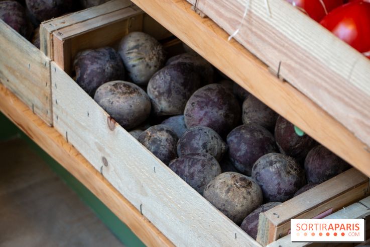 Sapid, la table à manger Naturaliste d'Alan Ducasse : nos photos