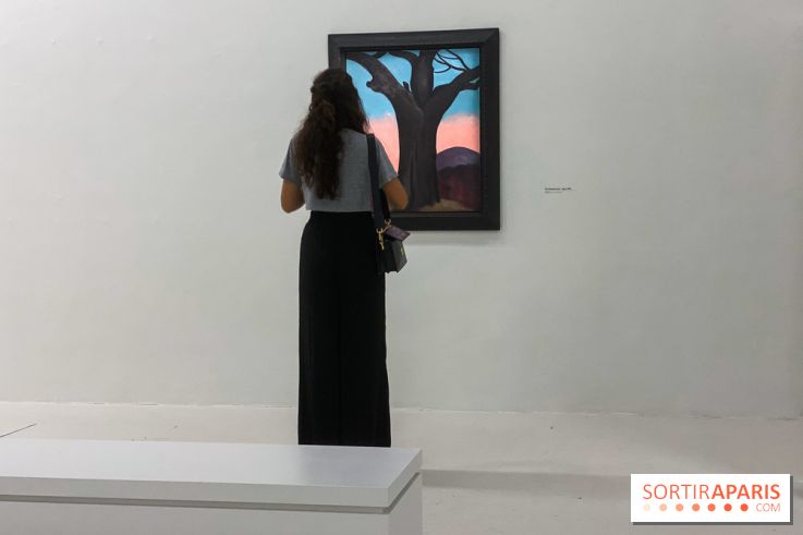 Georgia O'keeffe au Centre Pompidou