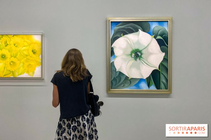 Georgia O'keeffe au Centre Pompidou