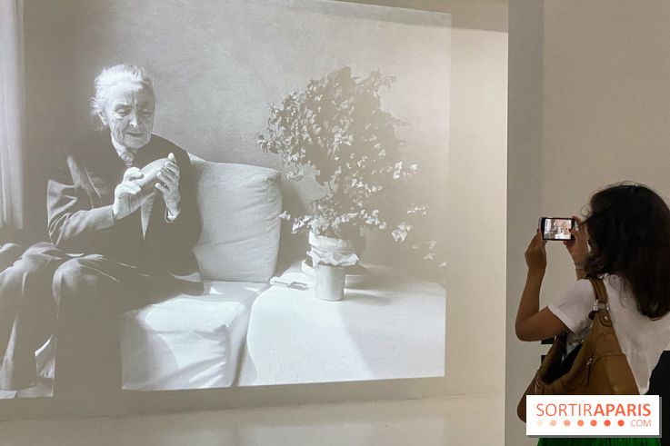 Georgia O'keeffe au Centre Pompidou