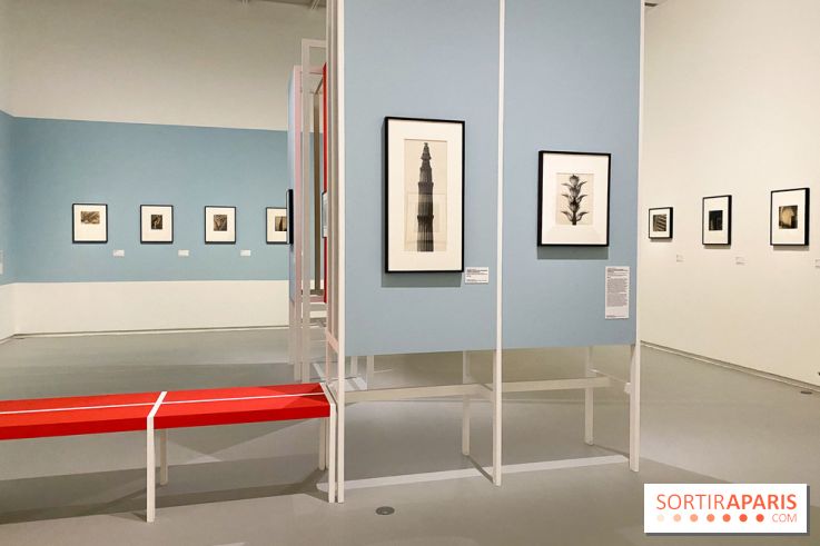 Les chefs-œuvre du MOMA au Jeu de Paume