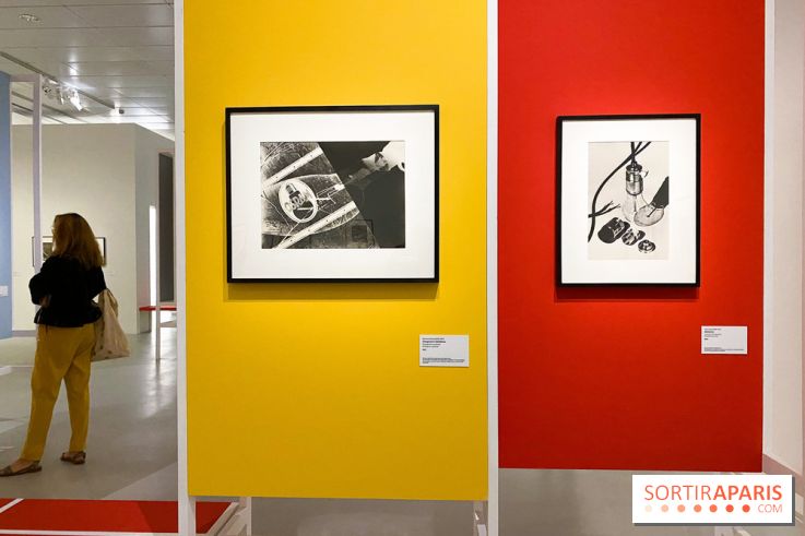 Les chefs-œuvre du MOMA au Jeu de Paume