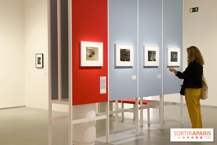 Les chefs-œuvre du MOMA au Jeu de Paume