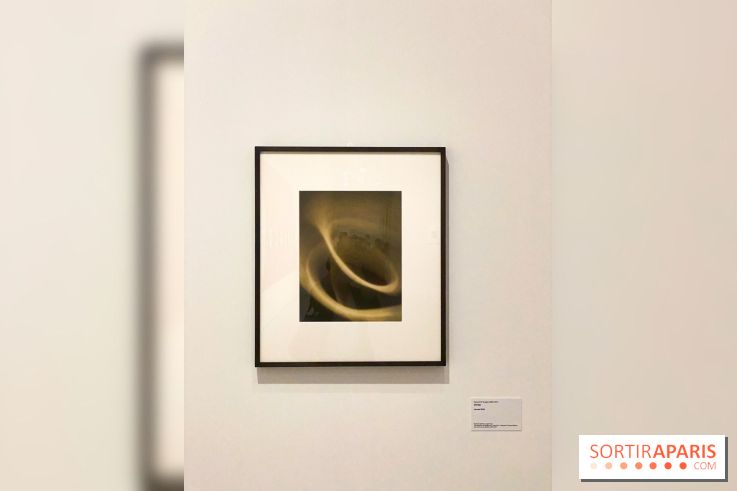 Les chefs-œuvre du MOMA au Jeu de Paume