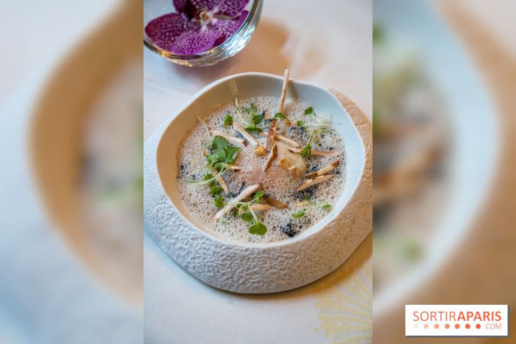 George V, la nouvelle carte de la Galerie