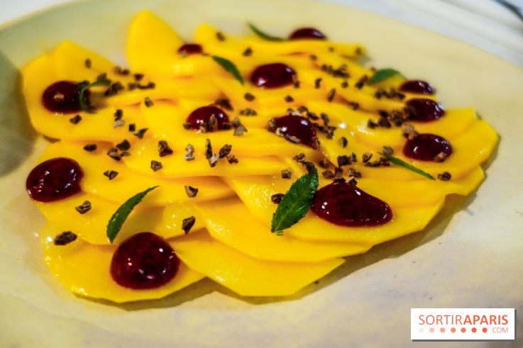 Tzantza à Paris, nos photos