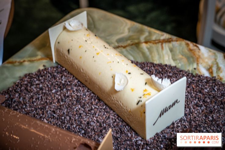 Photos : Les Bûches de Noël 2021 et galettes 2022 de Pierre Chirac et Stephanie Le Quellec