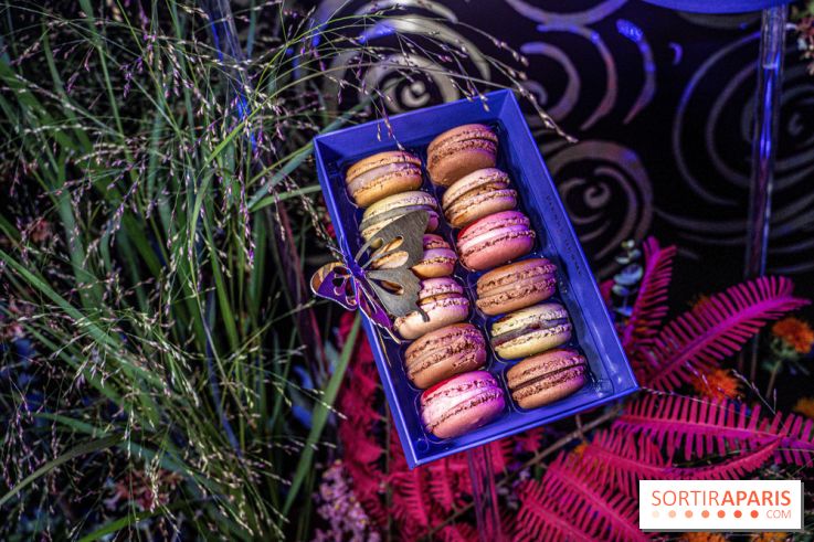 Bûches de Noël de Pierre Hermé 2021 et galettes 2022