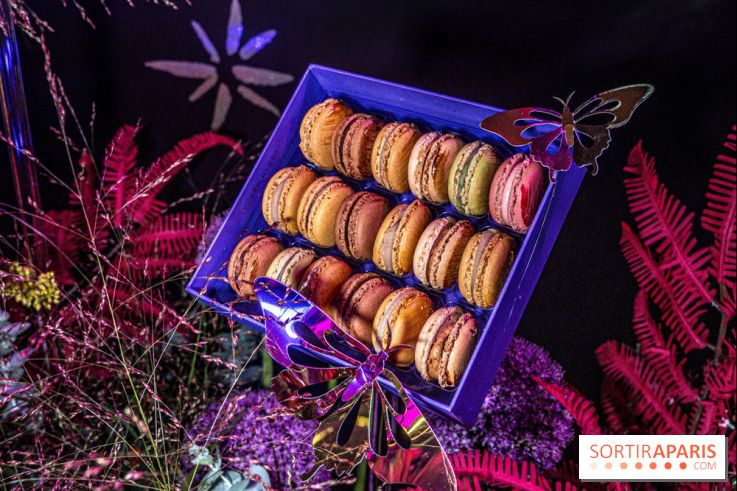 Bûches de Noël de Pierre Hermé 2021 et galettes 2022