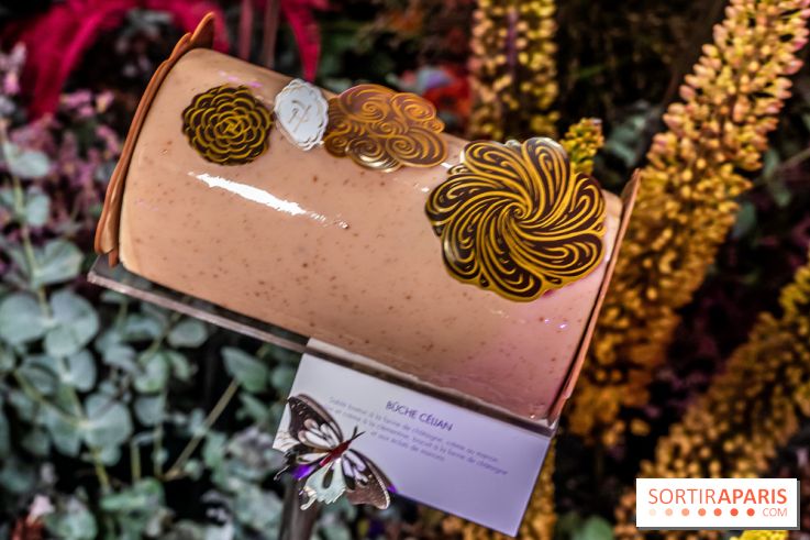 Bûches de Noël de Pierre Hermé 2021 et galettes 2022