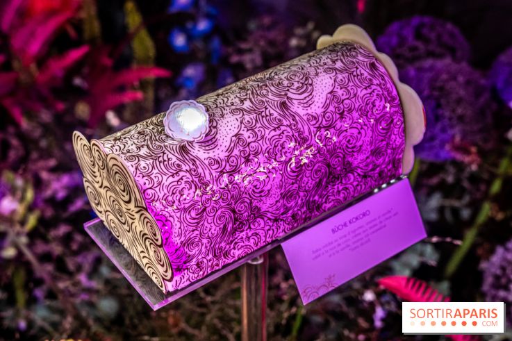 Bûches de Noël de Pierre Hermé 2021 et galettes 2022