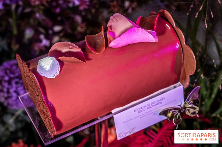 Bûches de Noël de Pierre Hermé 2021 et galettes 2022