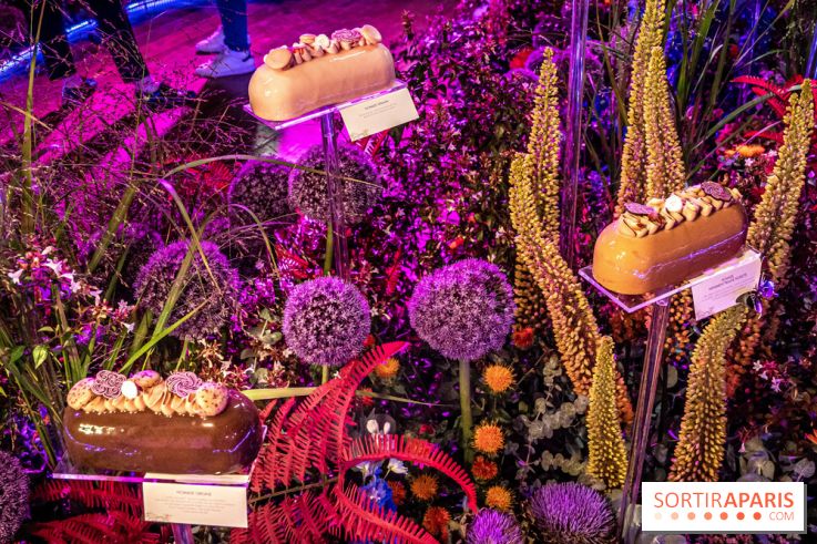 Bûches de Noël de Pierre Hermé 2021 et galettes 2022