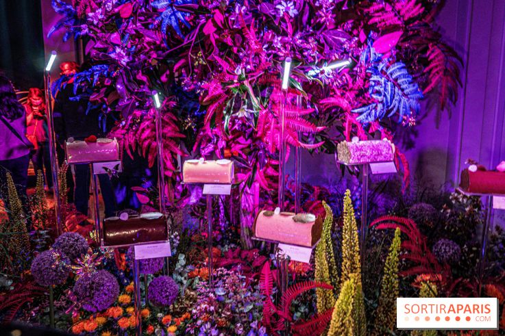 Bûches de Noël de Pierre Hermé 2021 et galettes 2022