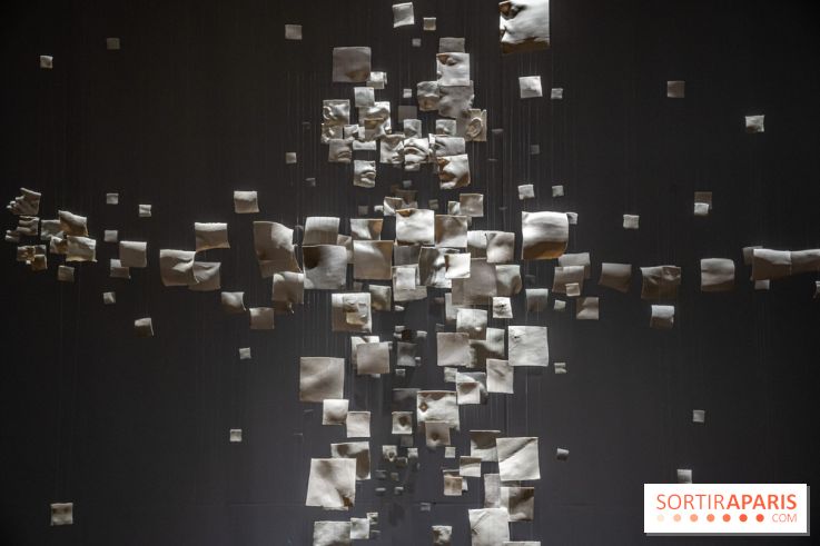 Exposition Aux frontières de l'humain au Musée de l'Homme