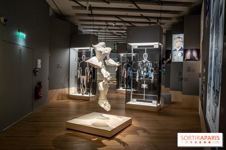 Exposition Aux frontières de l'humain au Musée de l'Homme