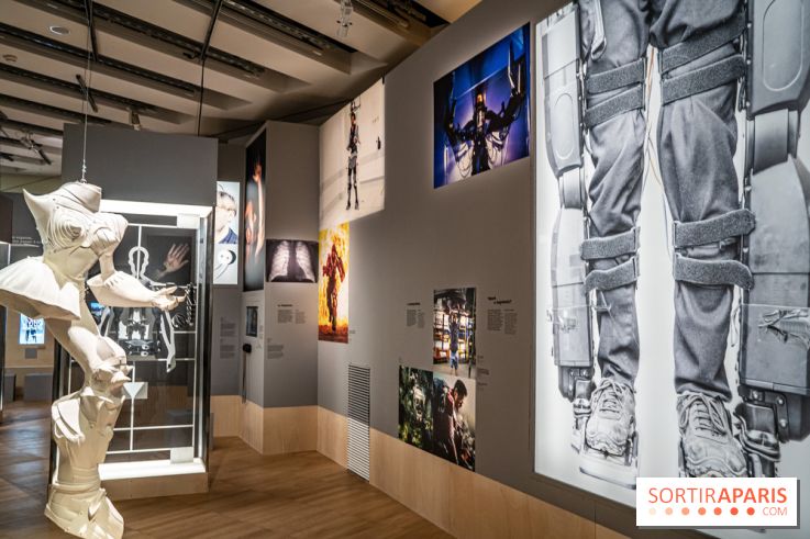 Exposition Aux frontières de l'humain au Musée de l'Homme