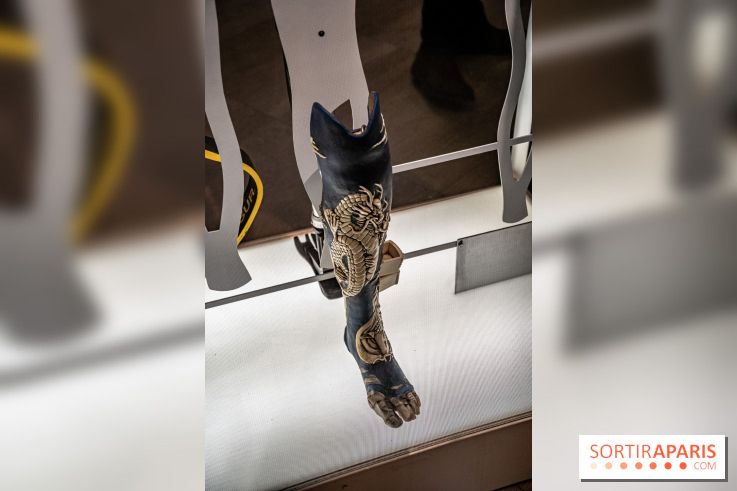 Exposition Aux frontières de l'humain au Musée de l'Homme